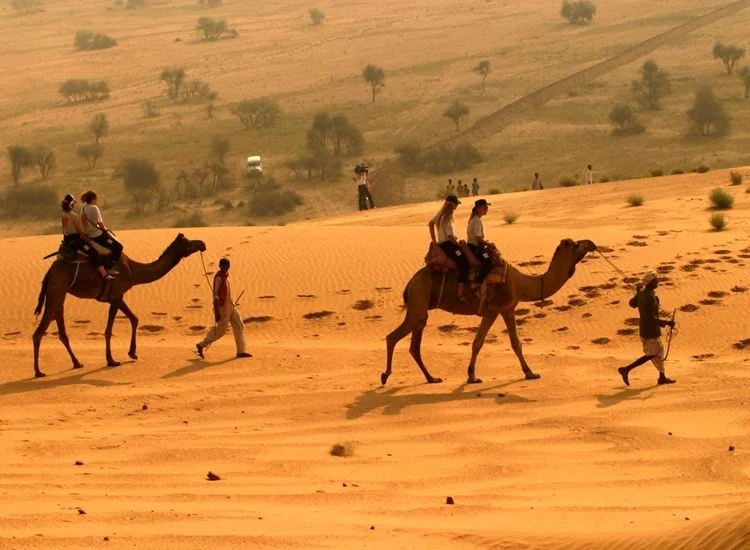 Adventure Desert Safari Package